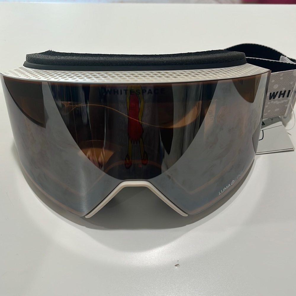 Ski Glasses